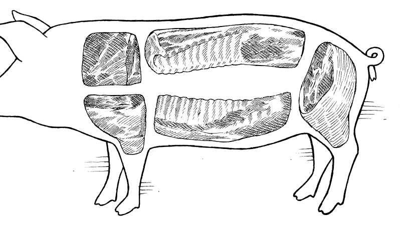 Pork Butt vs Pork Shoulder What s the Difference Cook s
